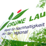 Konzeption, Gestaltung und Realisierung
Corporate Design und Werbemittel für Stadt-Event